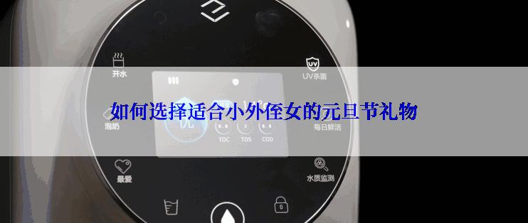 如何选择适合小外侄女的元旦节礼物
