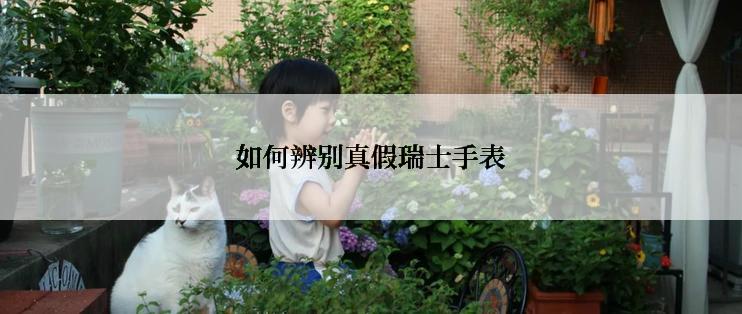 如何辨别真假瑞士手表