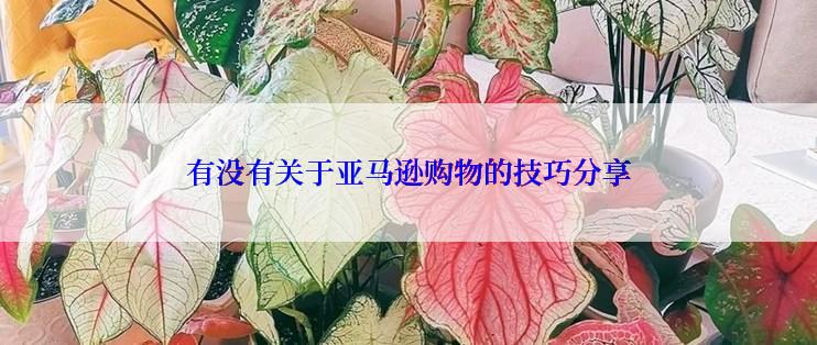 有没有关于亚马逊购物的技巧分享