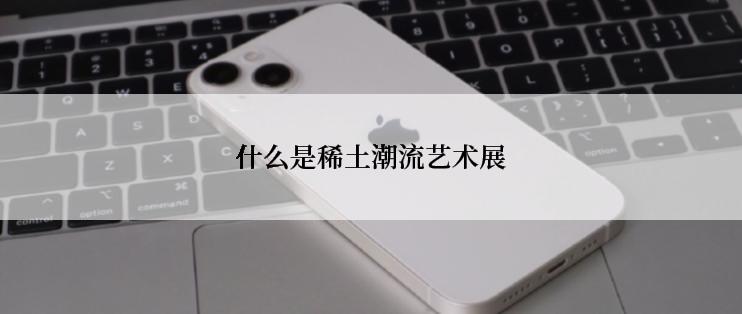 什么是稀土潮流艺术展