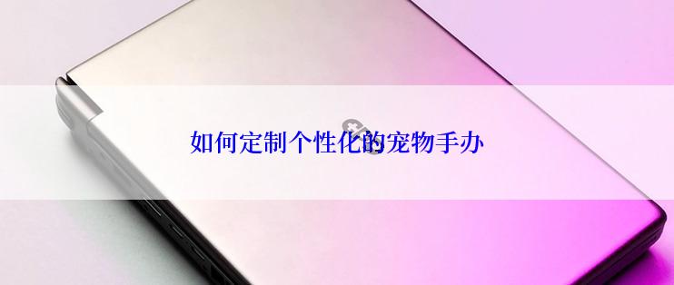 如何定制个性化的宠物手办