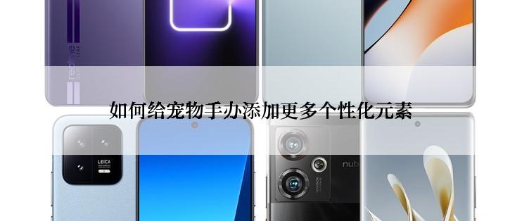 如何给宠物手办添加更多个性化元素