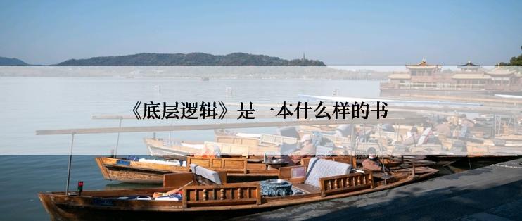 《底层逻辑》是一本什么样的书