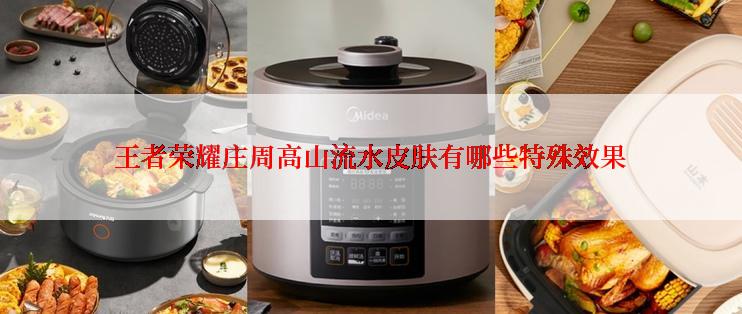 王者荣耀庄周高山流水皮肤有哪些特殊效果