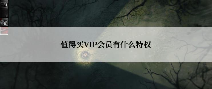 值得买VIP会员有什么特权