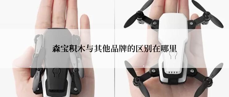 森宝积木与其他品牌的区别在哪里