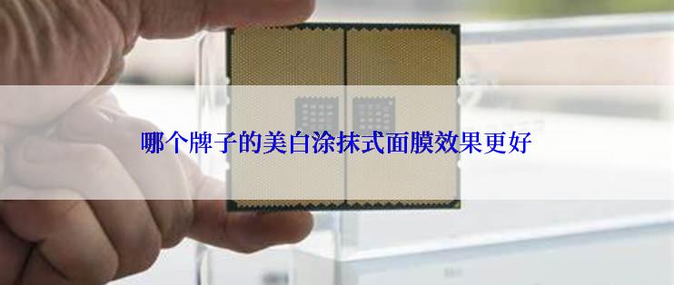 哪个牌子的美白涂抹式面膜效果更好