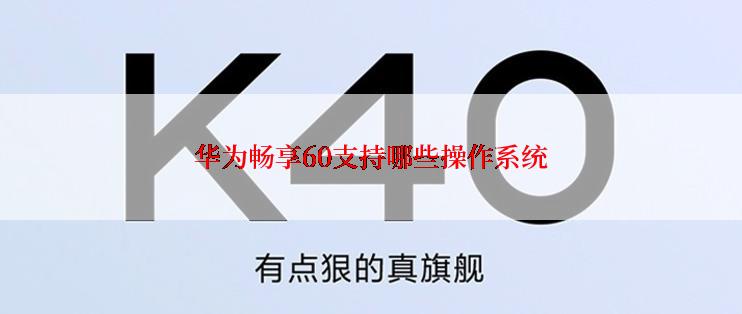 华为畅享60支持哪些操作系统