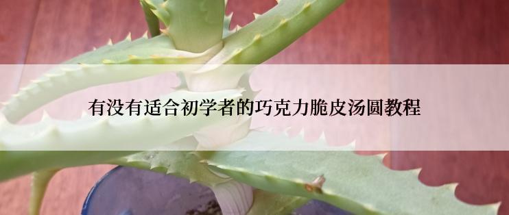 有没有适合初学者的巧克力脆皮汤圆教程
