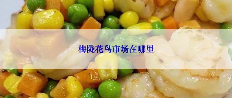 梅陇花鸟市场在哪里