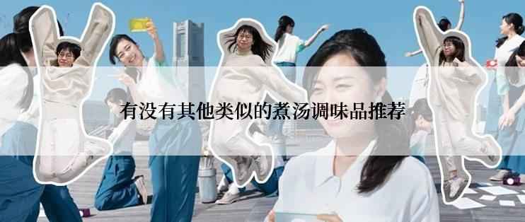 有没有其他类似的煮汤调味品推荐