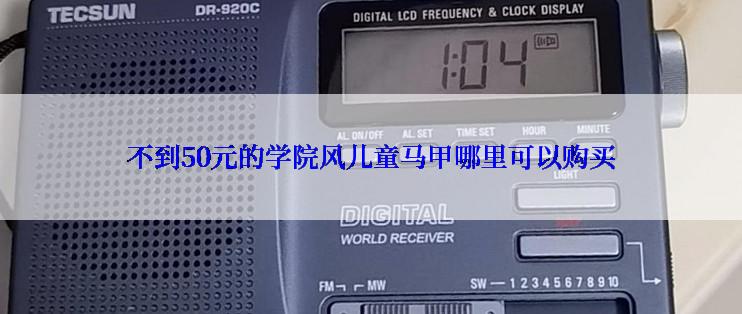 不到50元的学院风儿童马甲哪里可以购买