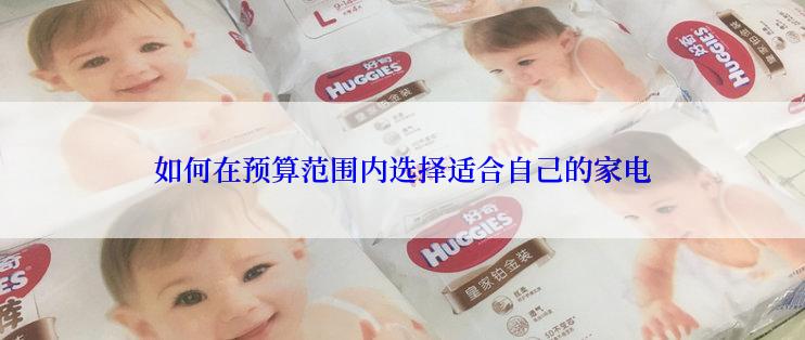 如何在预算范围内选择适合自己的家电