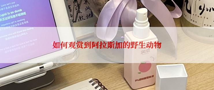 有没有省心的花卉种植方法