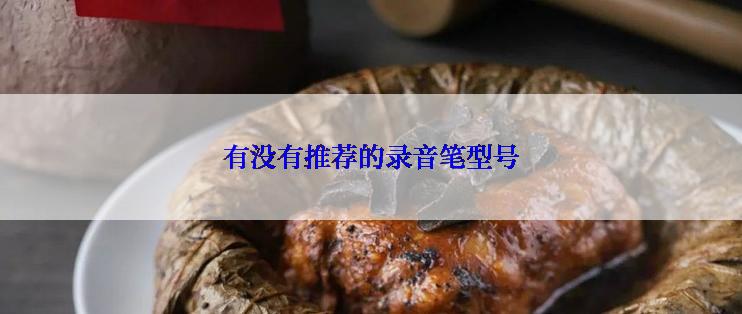 有没有推荐的录音笔型号