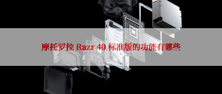 摩托罗拉 Razr 40 标准版的功能有哪些