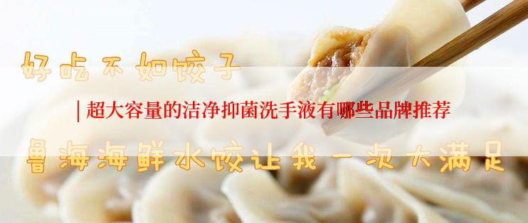 | 超大容量的洁净抑菌洗手液有哪些品牌推荐