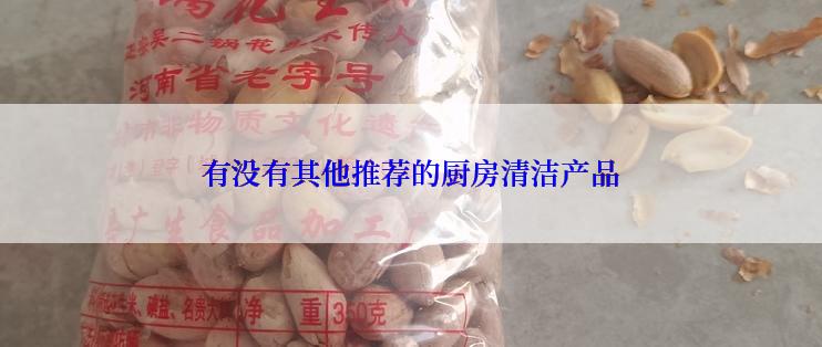 有没有其他推荐的厨房清洁产品