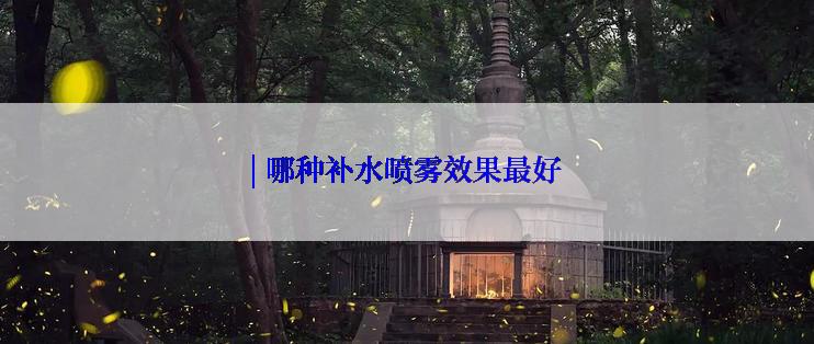 | 哪种补水喷雾效果最好