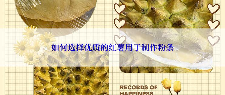 如何选择优质的红薯用于制作粉条