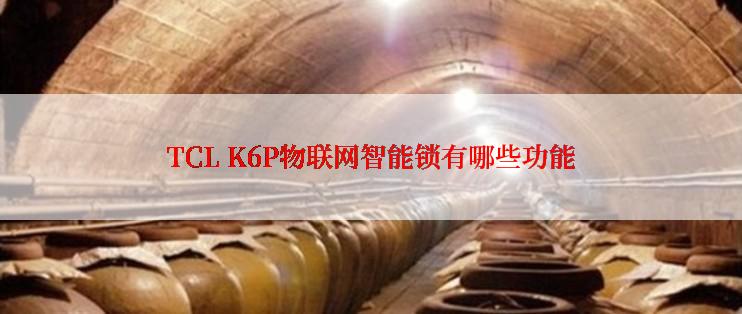 TCL K6P物联网智能锁有哪些功能