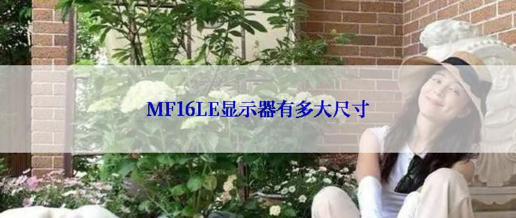 MF16LE显示器有多大尺寸