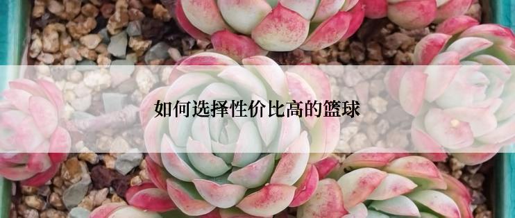 如何选择性价比高的篮球