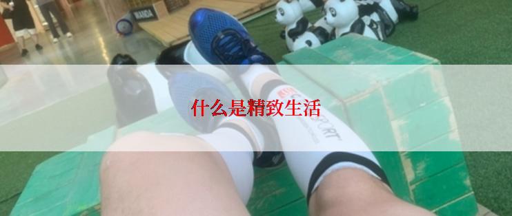 什么是精致生活