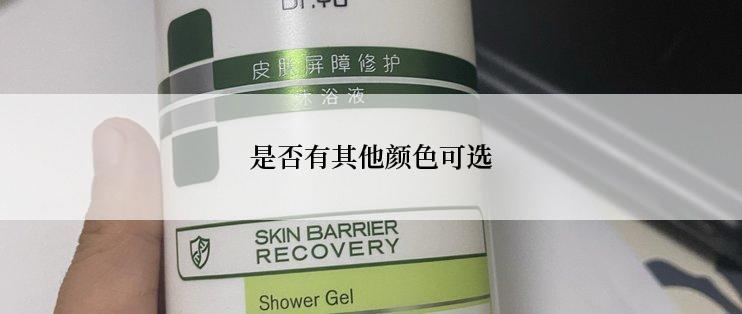 是否有其他颜色可选