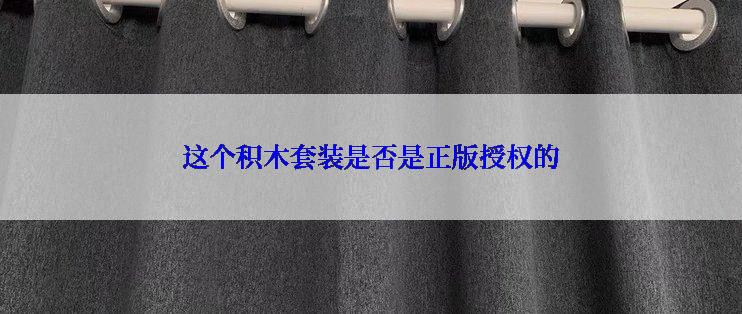 这个积木套装是否是正版授权的
