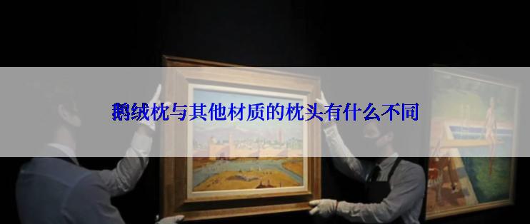 鹅绒枕与其他材质的枕头有什么不同