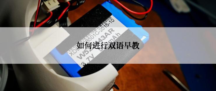如何进行双语早教