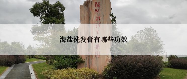 海盐洗发膏有哪些功效