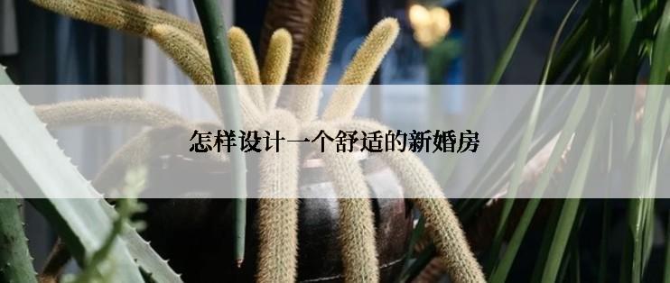 怎样设计一个舒适的新婚房