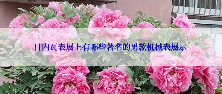 日内瓦表展上有哪些著名的男款机械表展示