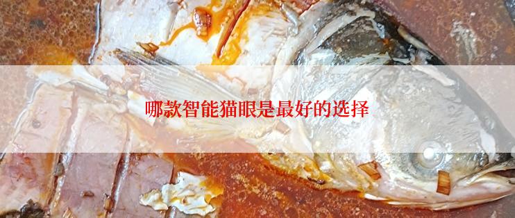 哪款智能猫眼是最好的选择