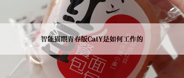 智能猫眼青春版CatY是如何工作的