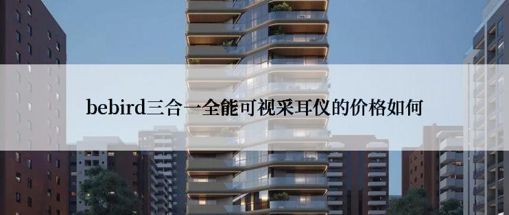 bebird三合一全能可视采耳仪的价格如何