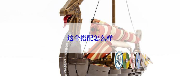 这个搭配怎么样