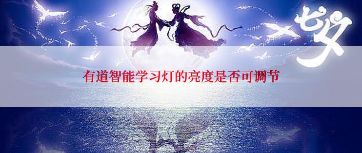 有道智能学习灯的亮度是否可调节