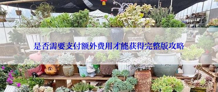 是否需要支付额外费用才能获得完整版攻略