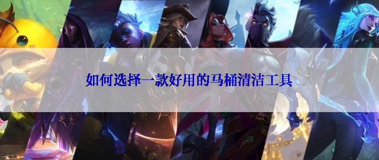 如何选择一款好用的马桶清洁工具