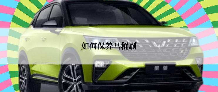 如何保养马桶刷