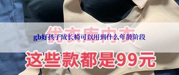 gb好孩子成长椅可以用到什么年龄阶段