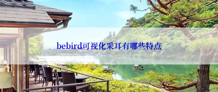 bebird可视化采耳有哪些特点