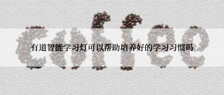 有道智能学习灯可以帮助培养好的学习习惯吗