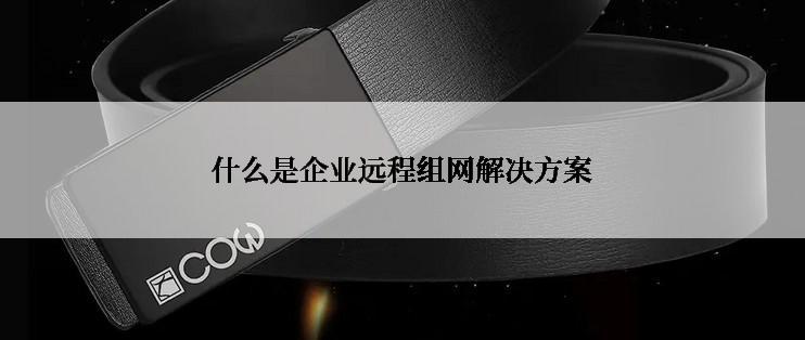 什么是企业远程组网解决方案