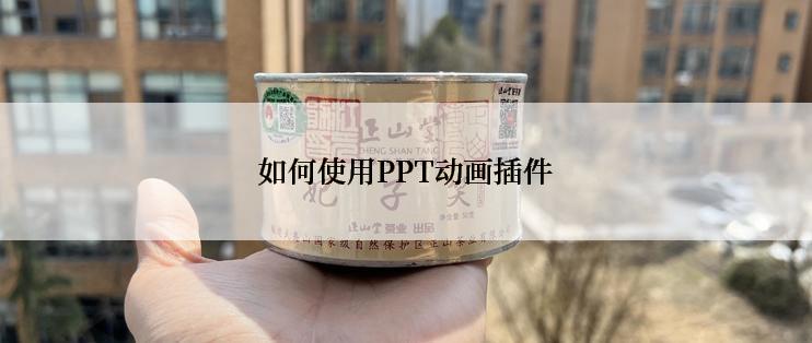 如何使用PPT动画插件