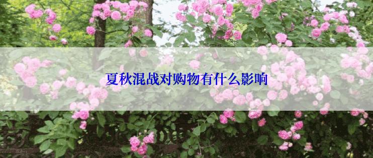夏秋混战对购物有什么影响