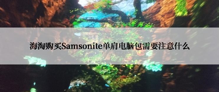海淘购买Samsonite单肩电脑包需要注意什么